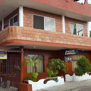Cattleya Guest house